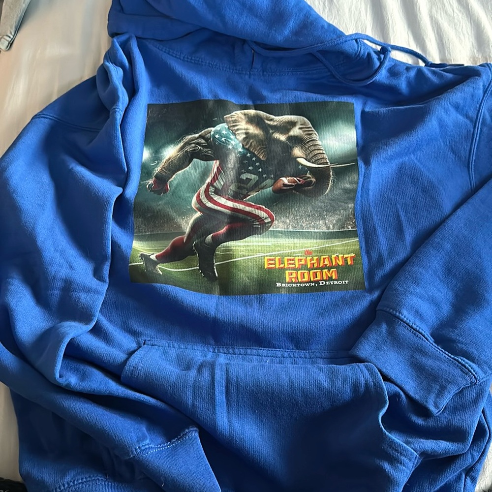 COOL DETROIT LIONS HOODIE